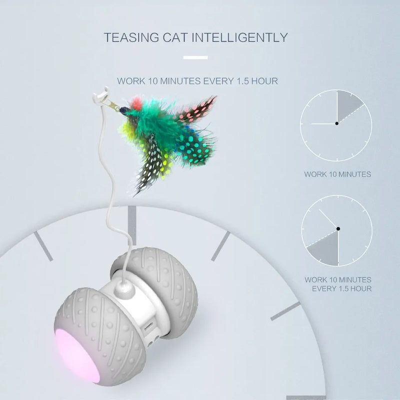 CATS MEOW ® - Rodinha Interativa para Gatos