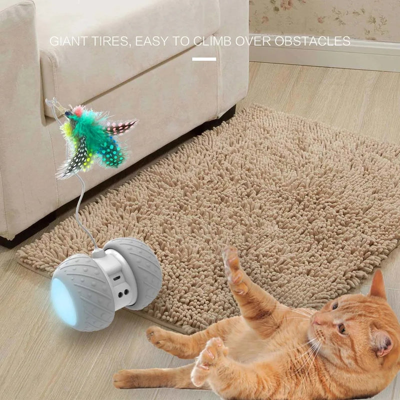 CATS MEOW ® - Rodinha Interativa para Gatos