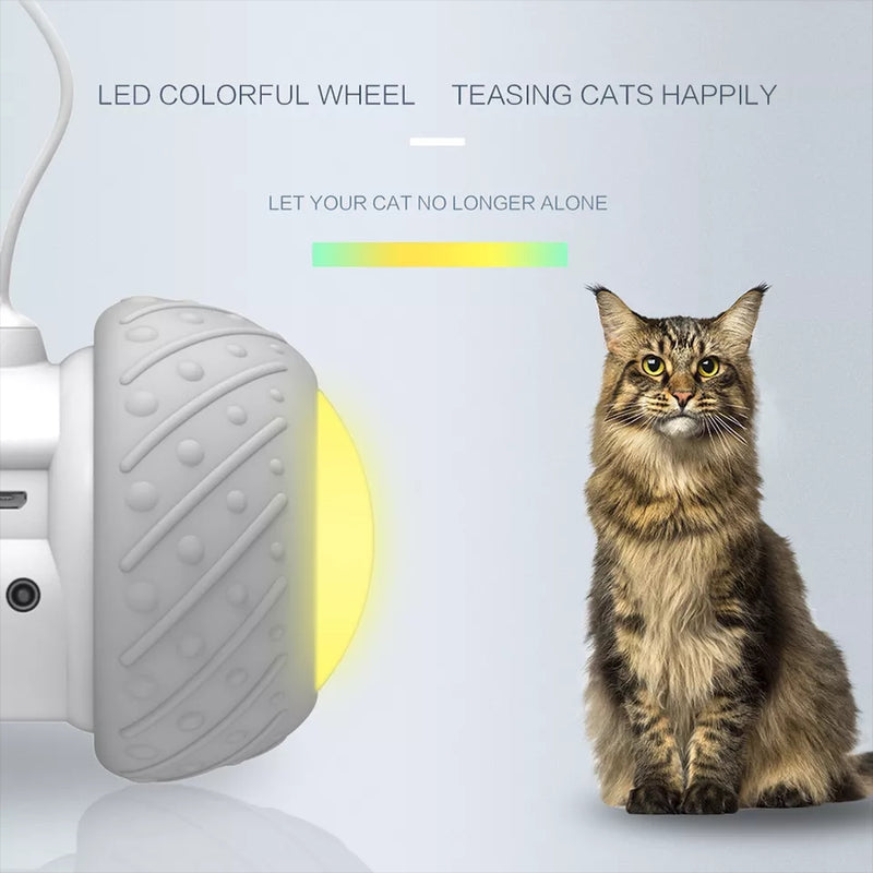 CATS MEOW ® - Rodinha Interativa para Gatos